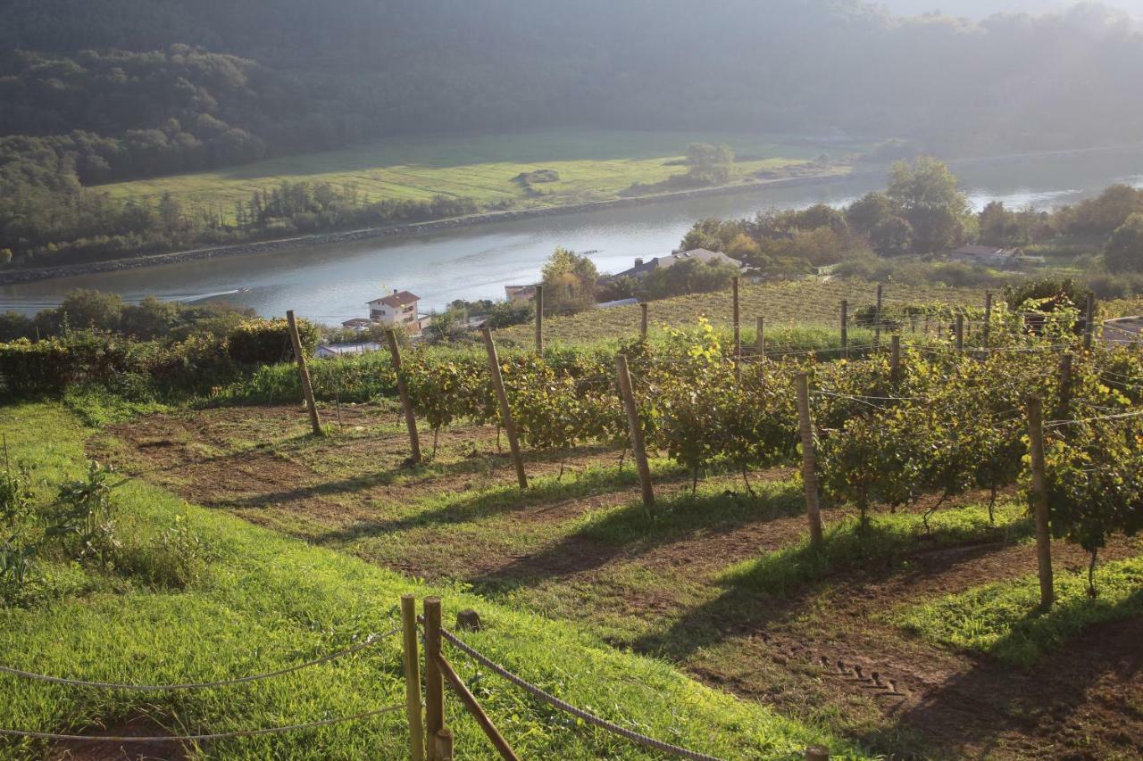 Casa Rural Erretzabal Txiki Orio Kültér fotó
